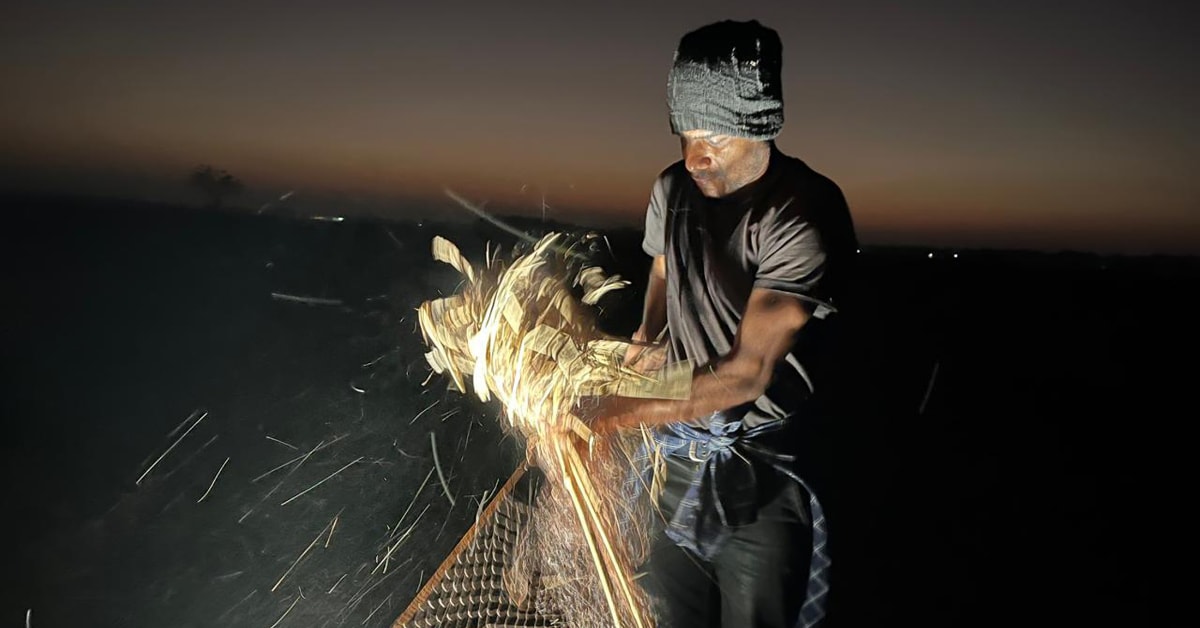 India's Dolphin Ambulance Saves 8th River Dolphin - Image 5