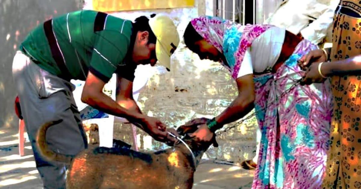 Mumbai Couple's Morning Walks Saved Wetland, 1000s of Flamingos - Image 4