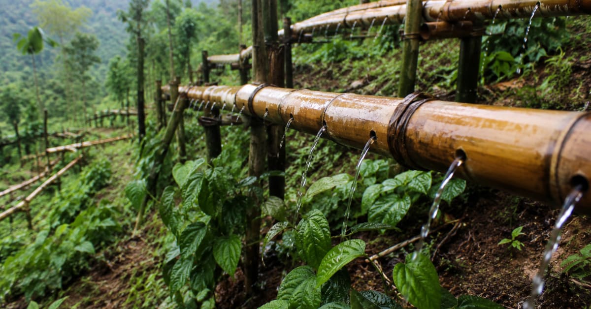Satellite Tech Cuts Farm Loan Waits From 15 Days to Minutes - Image 5
