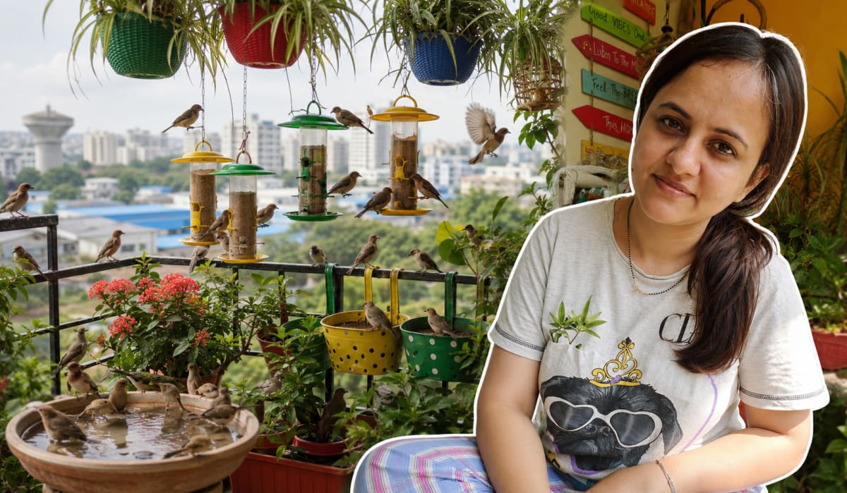 Lawyer, 26, Quits to Plant 4,000 Trees Across 35 Cities - Image 5