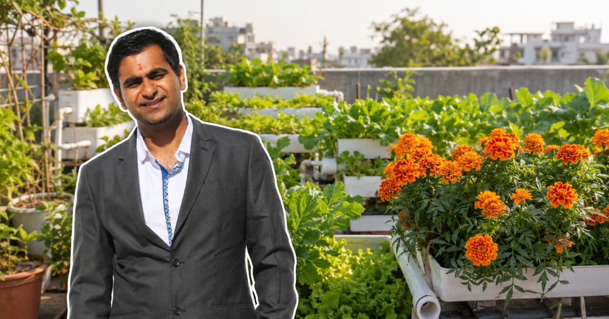 Teacher Turns 3-Acre Farm Into Rs 35 Lakh Annual Income - Image 4