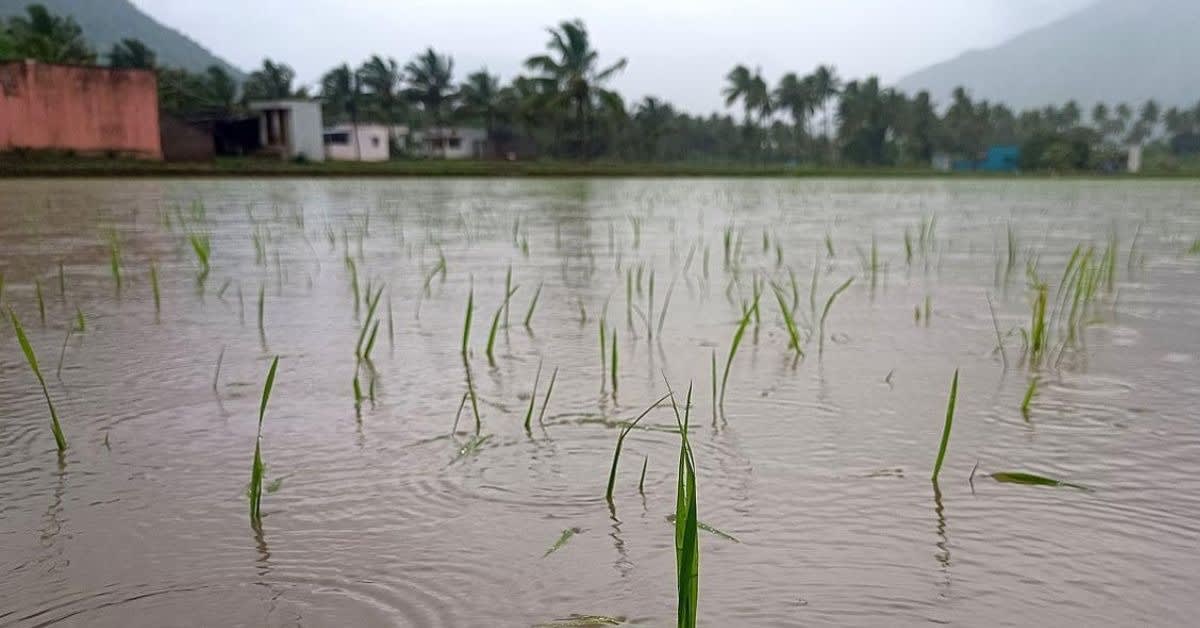 Free AI App Helps 1 Million Indian Farmers Save Crops - Image 3