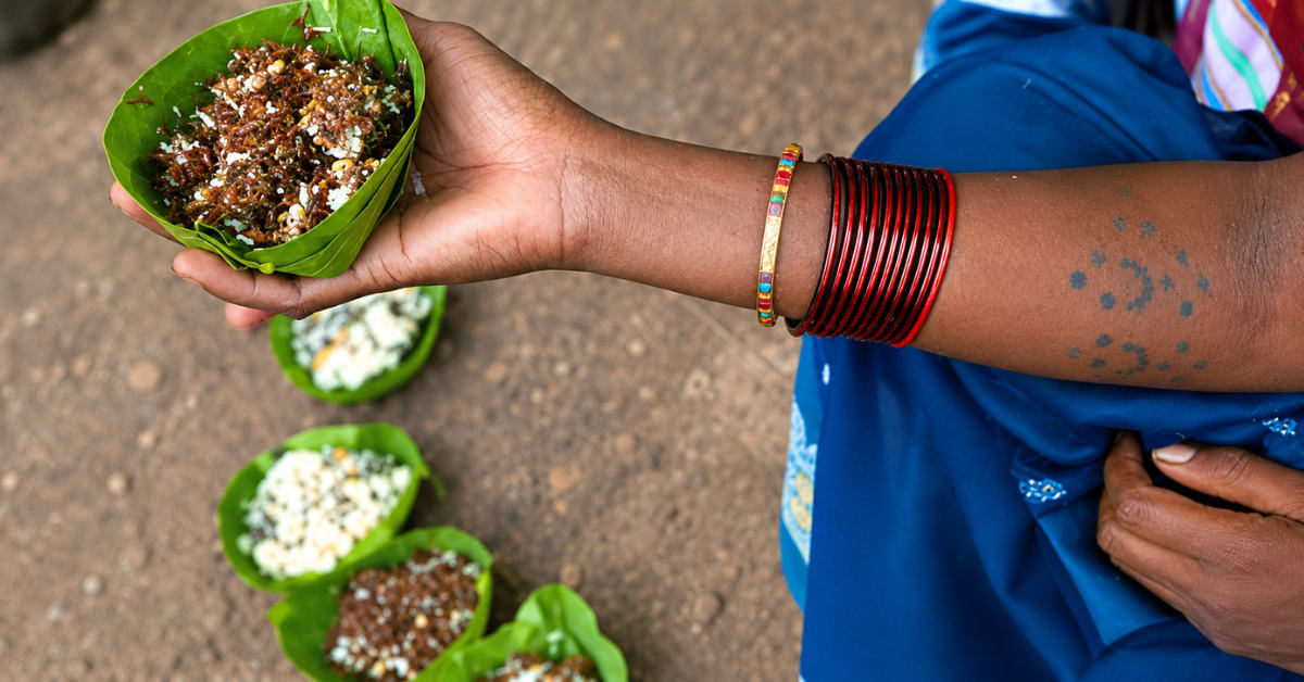 Tiny Carnivorous Plants Bloom on India's Monsoon Plateaus - Image 3