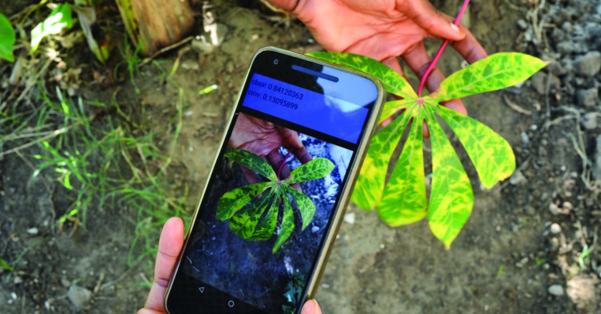 Indian Artisans Reach Global Markets Through Their Phones - Image 4