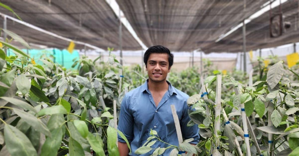 India's Monsoon Powers Mushroom Farms That Need No Soil - Image 3