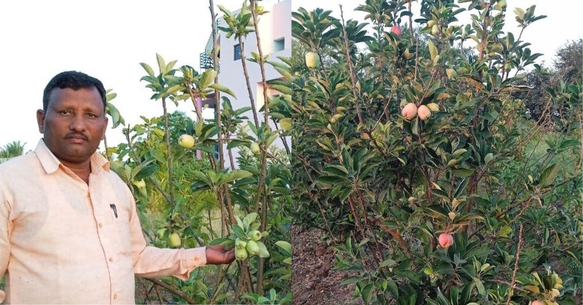 Telangana's 'Millet Man' Lifted Thousands From Poverty - Image 5
