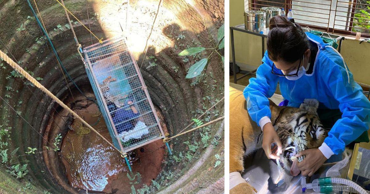 200-Year-Old Karnataka Farm Teaches Organic Living in Style - Image 5