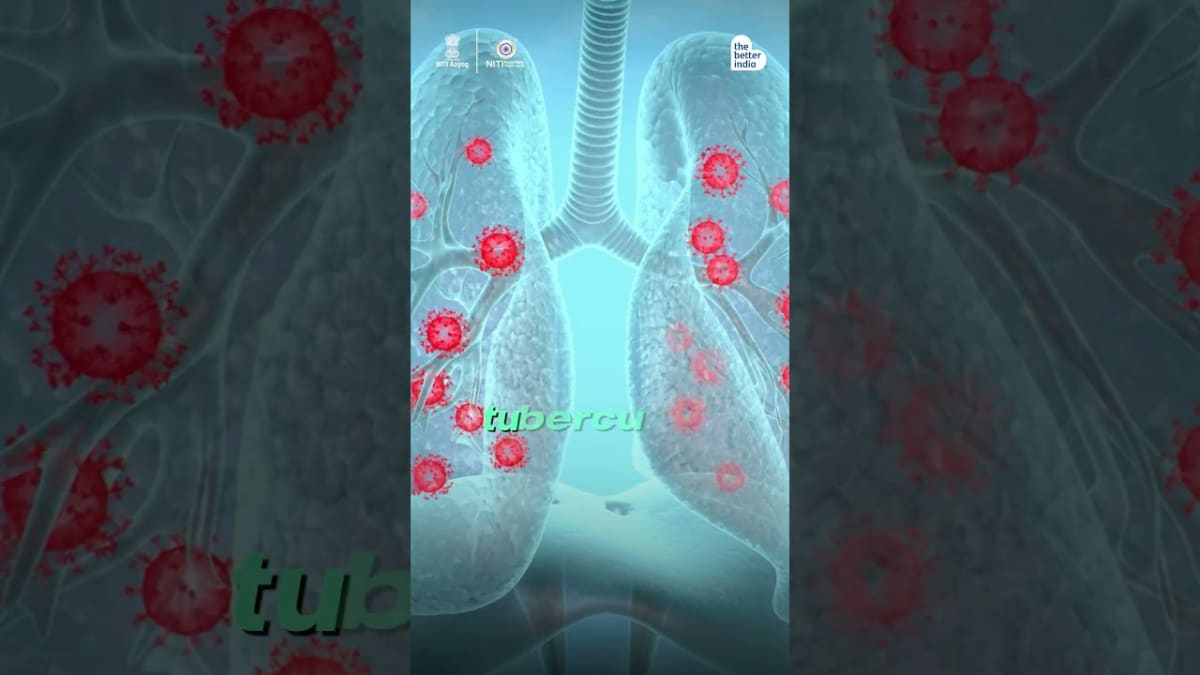 Why Bengal Became India's Creative Powerhouse - Image 2