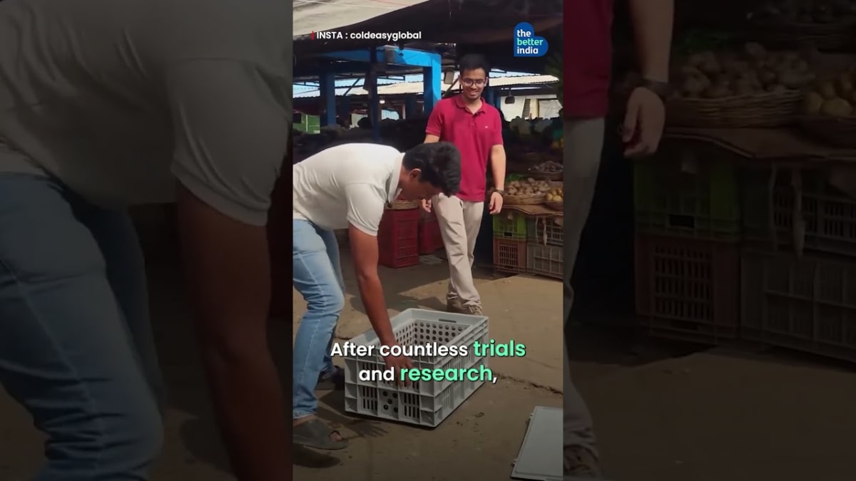 Woman Turns Kitchen Scraps Into Free Cooking Gas at Home - Image 2