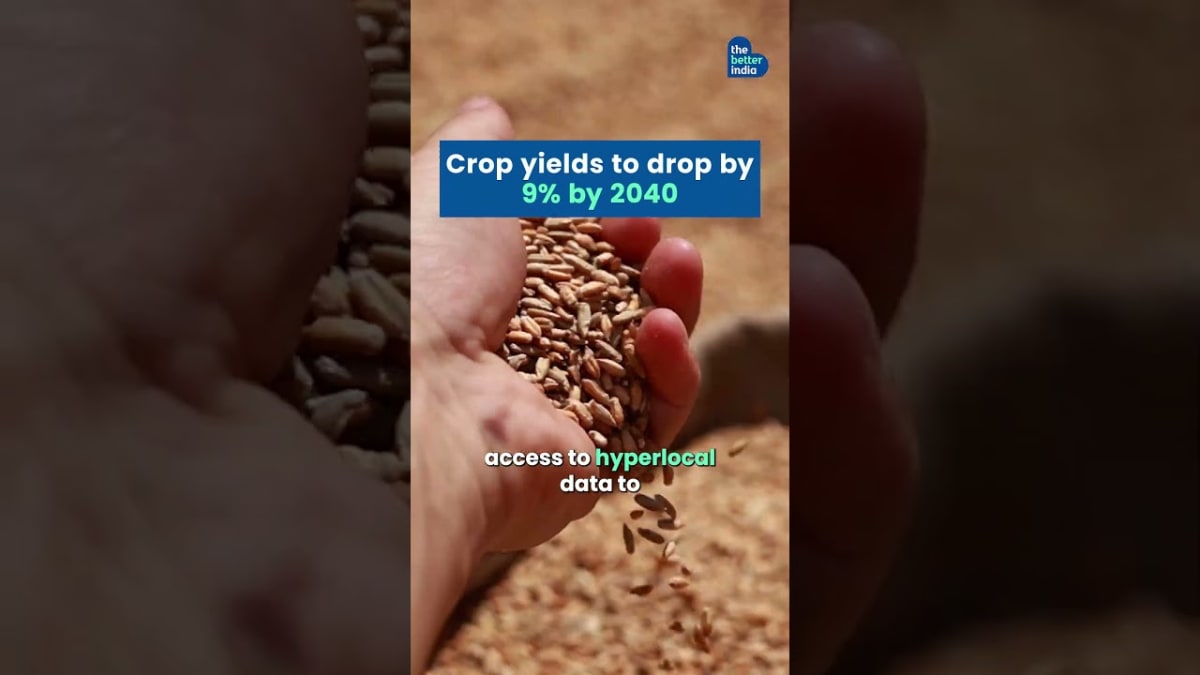 This Sikkim Village Checks Every Car for Plastic - Image 2