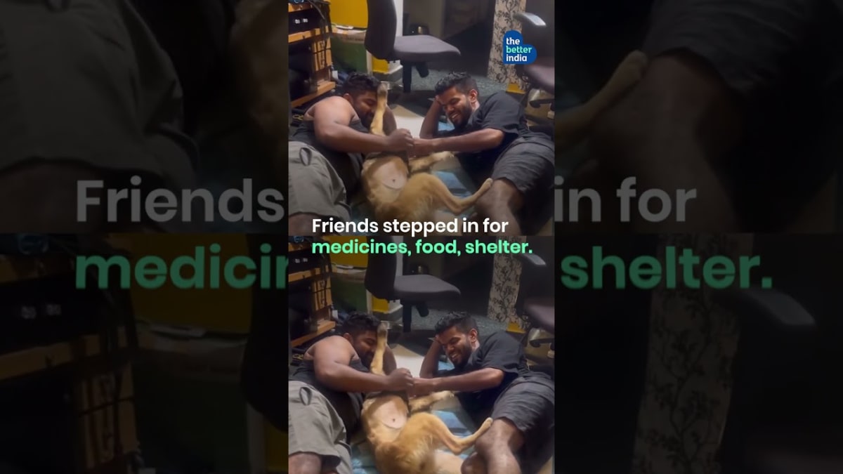 Man Quits Job, Rescues 200+ Animals in Coimbatore - Image 3