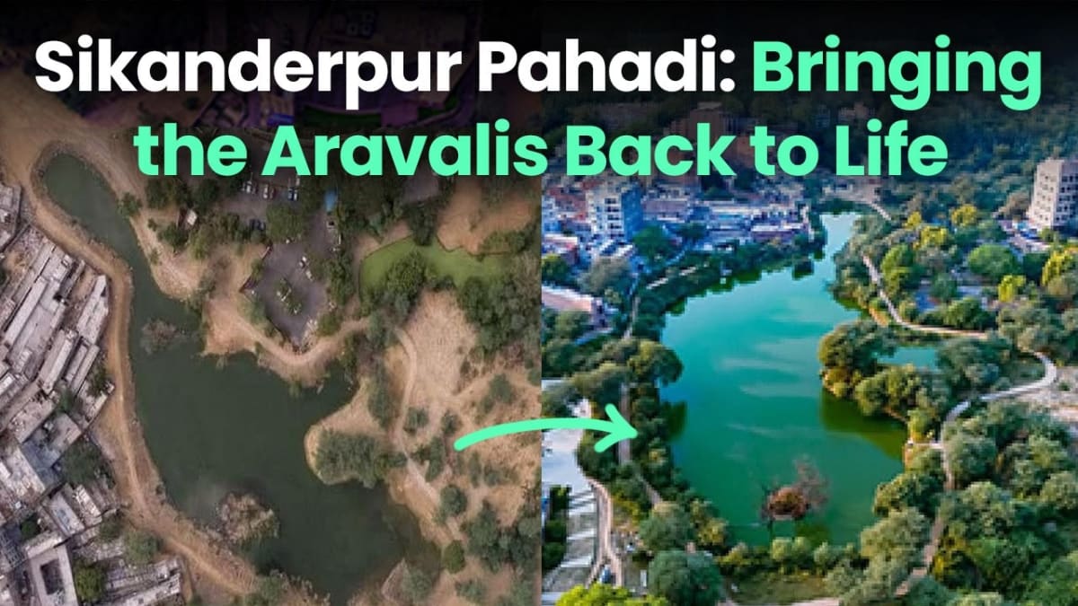 Ancient India Built Climate-Smart Buildings Centuries Ago - Image 3