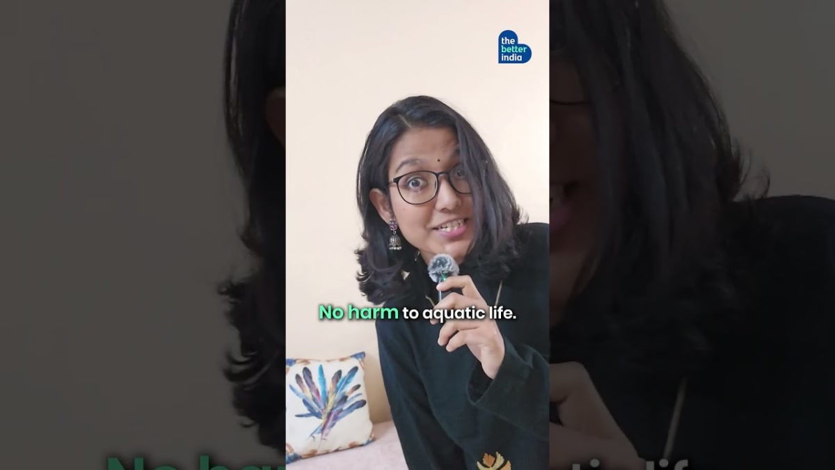 Bengaluru Couple Built a Mud Home With No Gas or Water Bills - Image 2