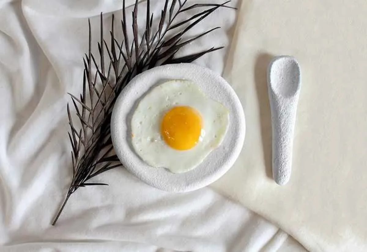 Delhi Designer Turns Eggshells Into Plates, Leaves Into Shoes - Image 5