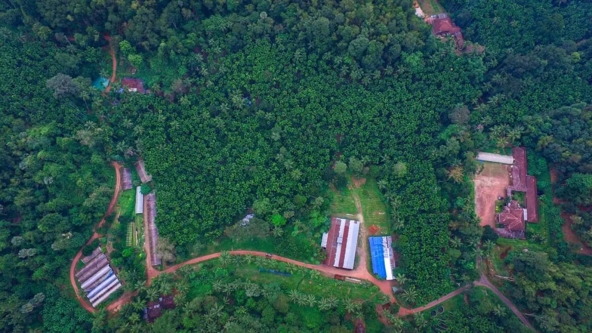 200-Year-Old Karnataka Farm Teaches Organic Living in Style - Image 4