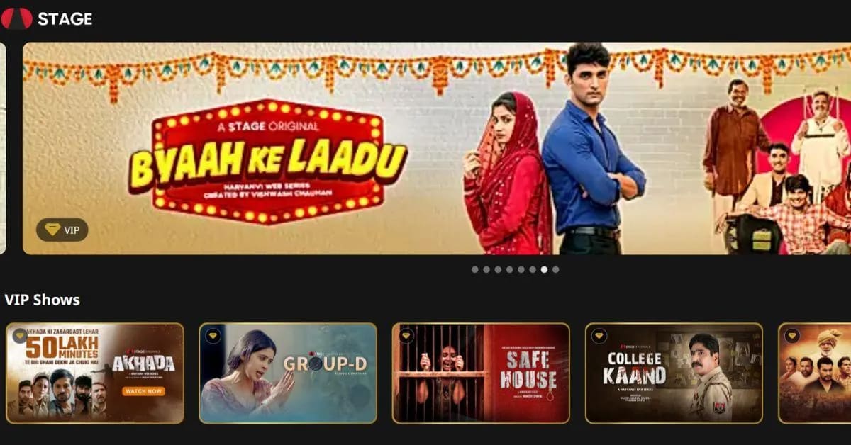 Brothers Launch Netflix for 700+ Indian Dialects After $5M Loss - Image 5