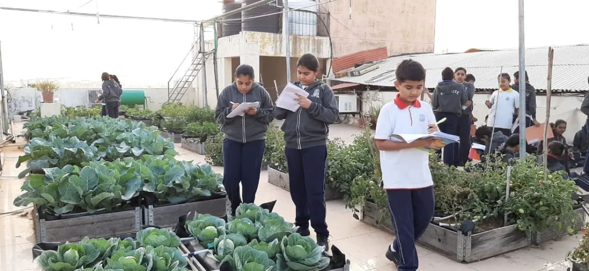 Journalist Teaches 20,000 Kids Farming in Vadodara Schools - Image 5
