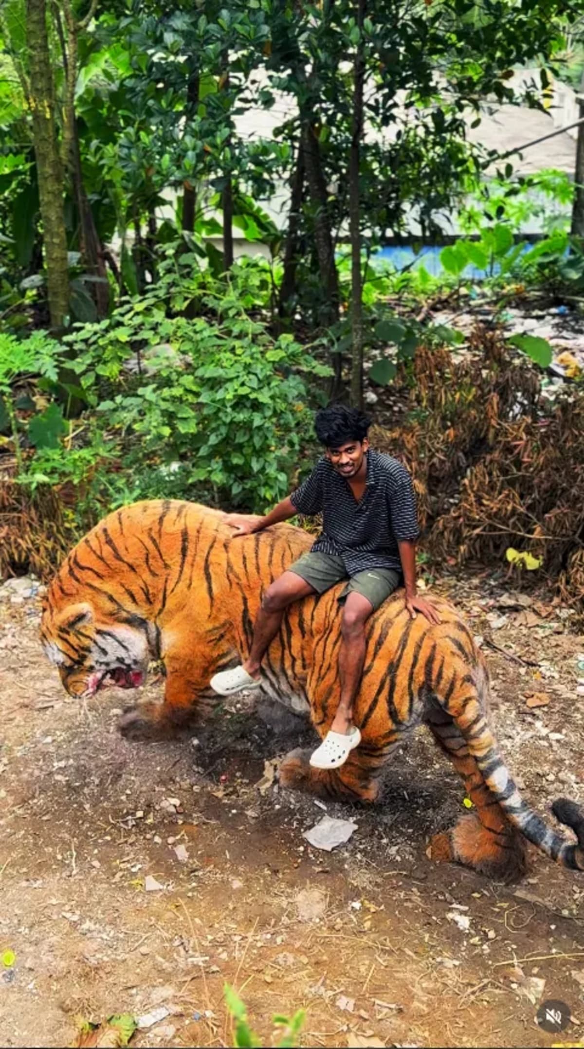 Kerala Artist Turns Trash Into Lifelike Tiger Sculpture - Image 3