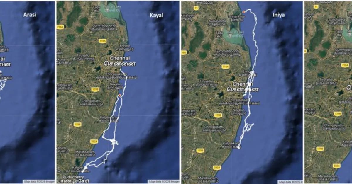 Tamil Nadu Guards 207,000 Turtle Eggs on 51 Beaches - Image 5