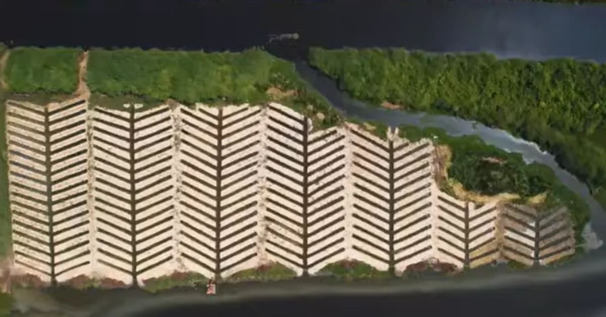 600 Villagers Clear 750kg of Plastic, Plant 20,000 Mangroves - Image 5