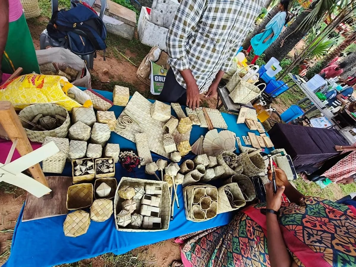 Tamil Nadu's 'Tree of Life' Revived by Community Tourism - Image 5