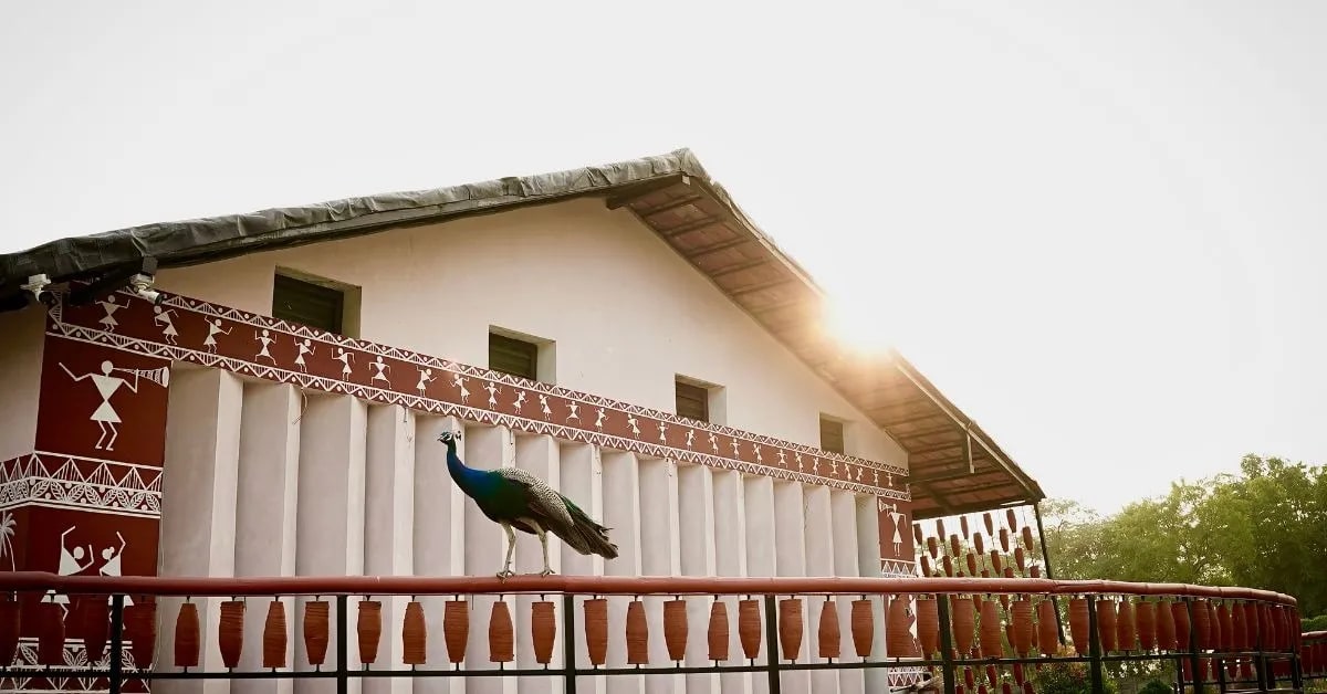 India Farmstay Captures 2M Liters Rainwater, Built Only With Mud - Image 3