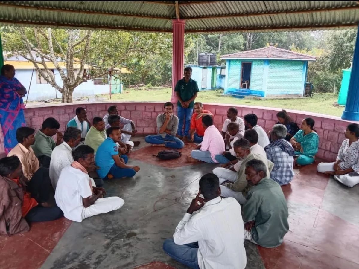 350 Tribal Workers Turn Invasive Weed Into Forest Fuel - Image 3
