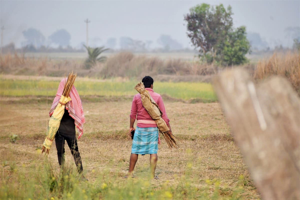 Bengal Villagers Save 1 Million Birds From Poacher Nets - Image 4