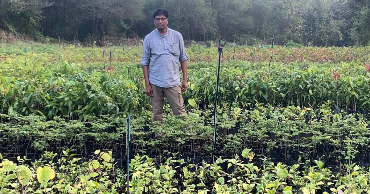 Maharashtra Farmer Revives 350 Native Plants, Lifts Villages - Image 5