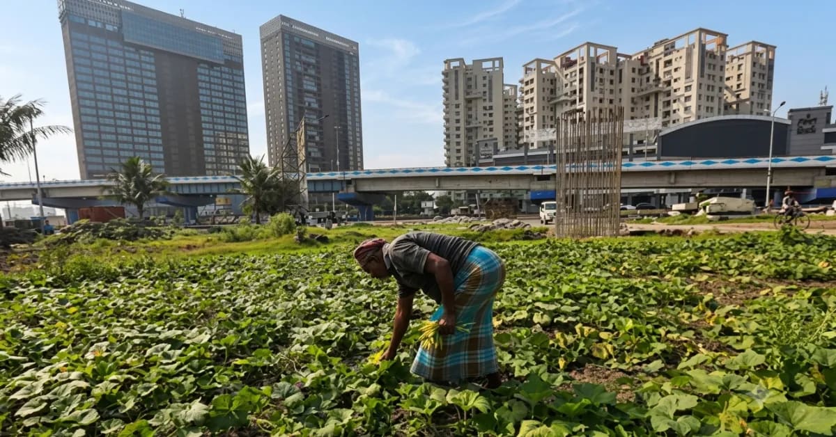 Kolkata's 12,500-Hectare Wetlands Stop Floods Naturally - Image 5