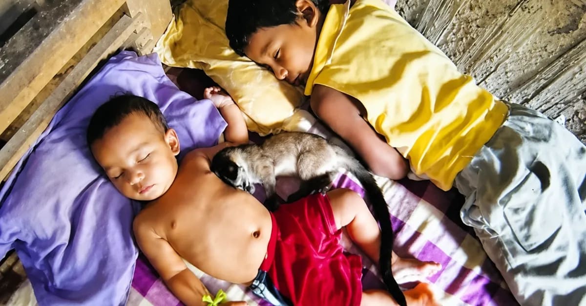 Assam Family Raises Orphaned Civet, Now in School Textbooks - Image 5