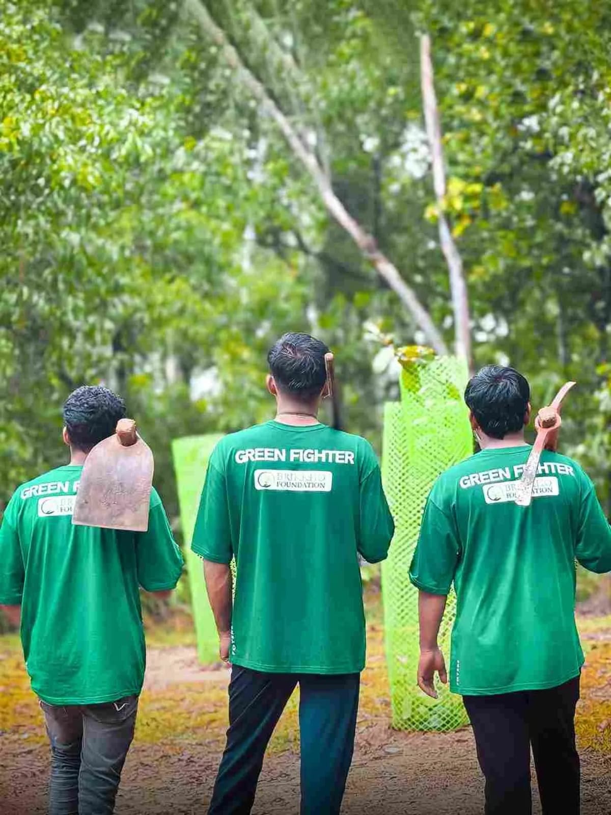 India's 'Tree Orphanage' Grows 2,000 Trees, 500 Guardians - Image 4
