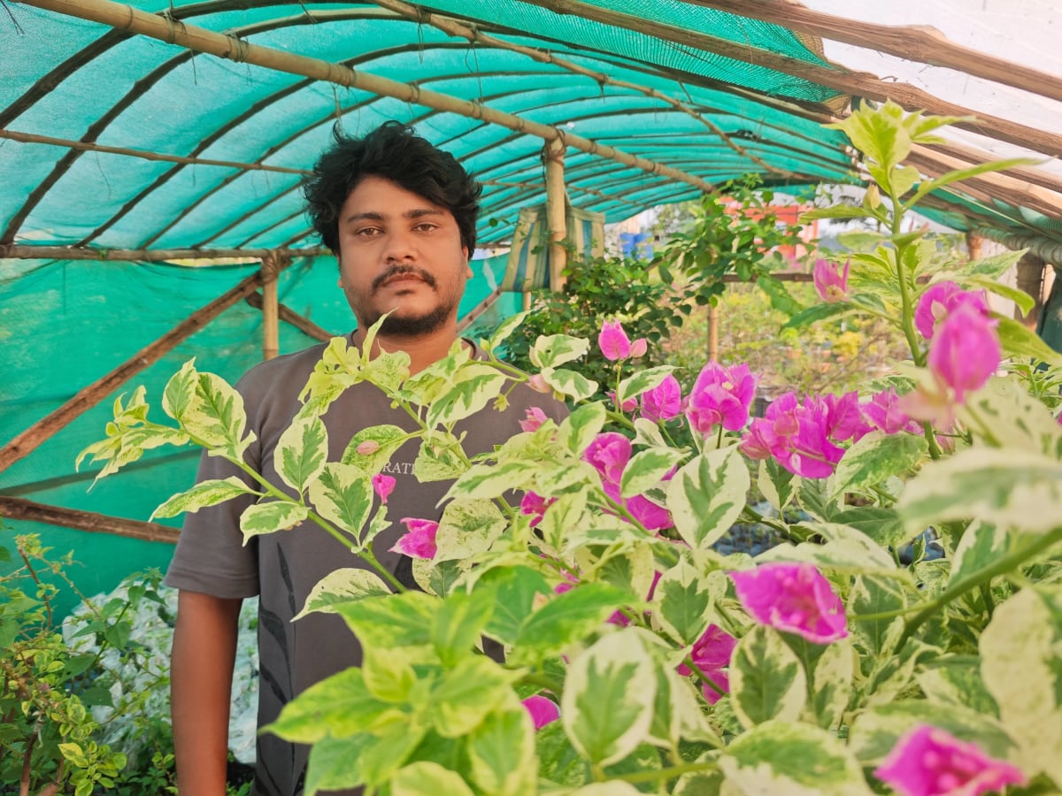 Bengal Gardener Grows 400 Bougainvillea Varieties - Image 3