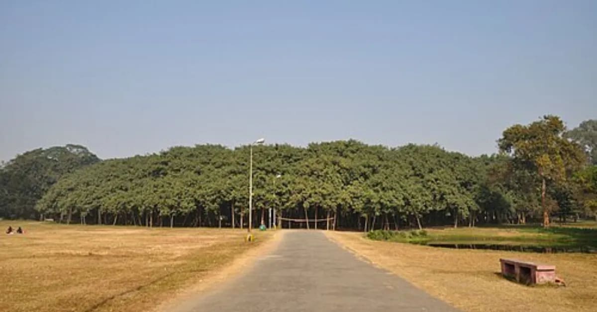 India's 700-Year-Old Banyan Trees Feed Hundreds of Species - Image 4