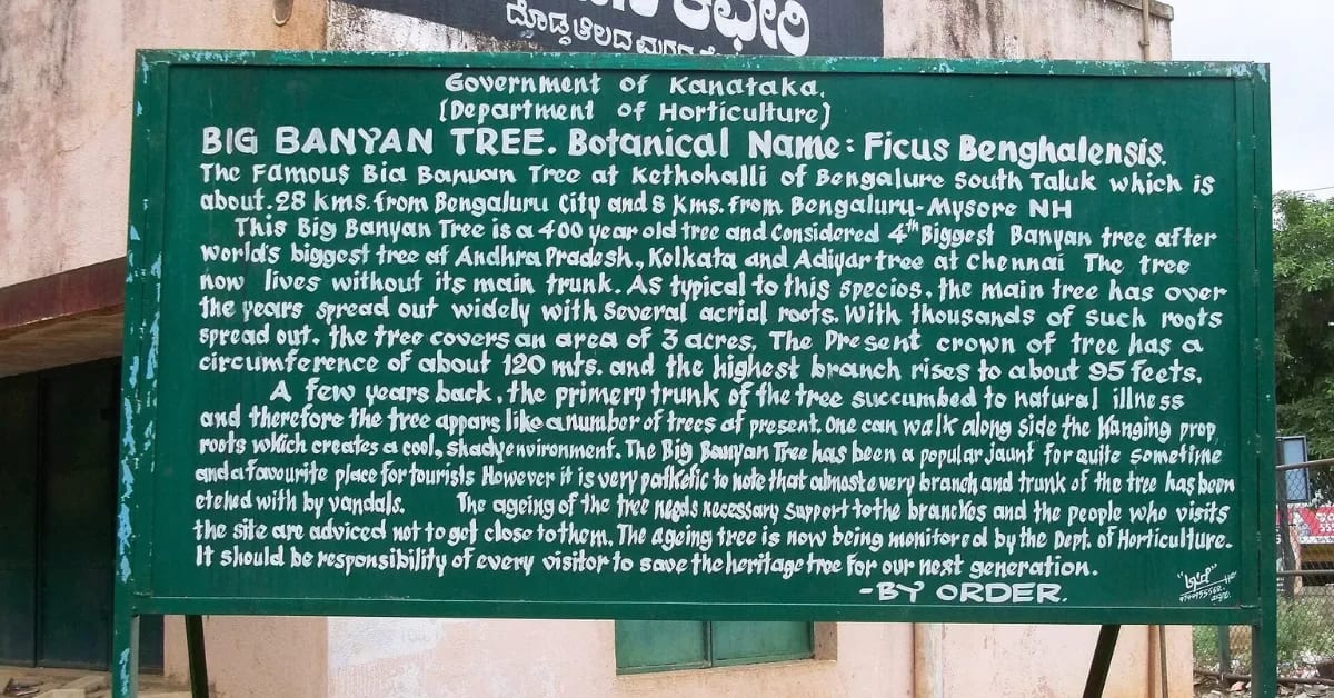 India's 700-Year-Old Banyan Trees Feed Hundreds of Species - Image 5
