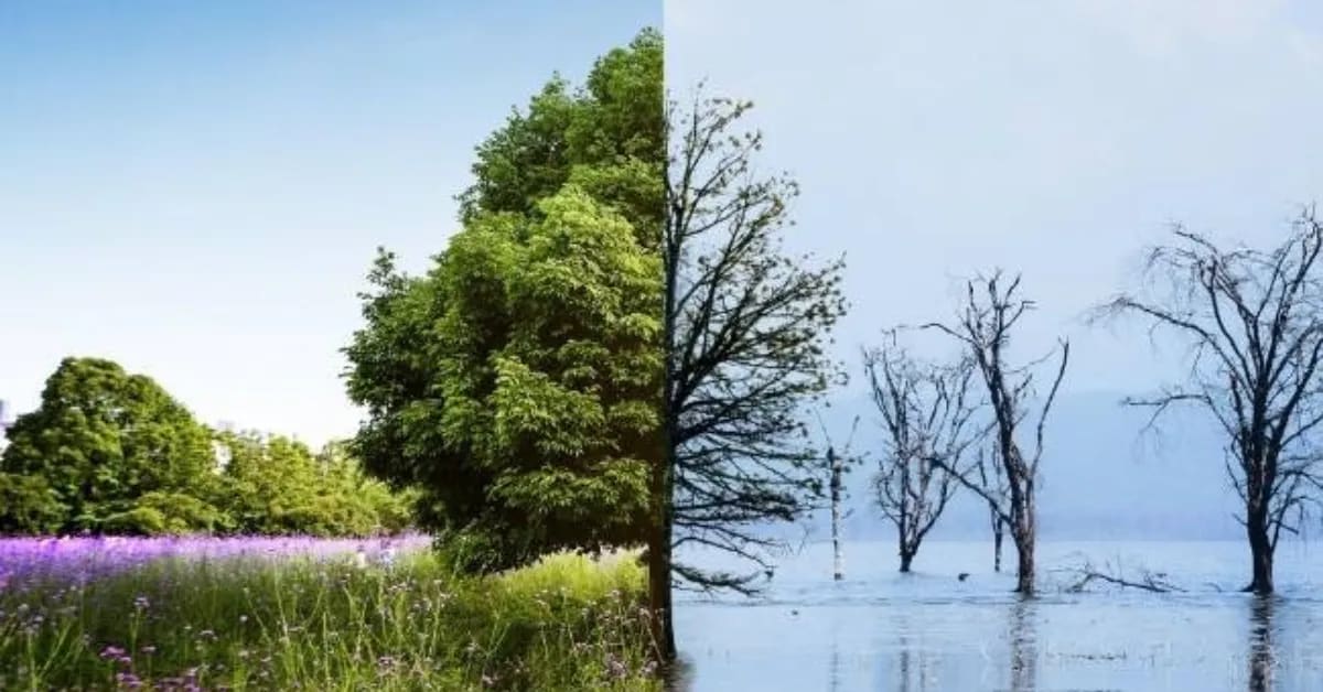 IIT Team Predicts Floods Before Rain Falls Using AI - Image 4