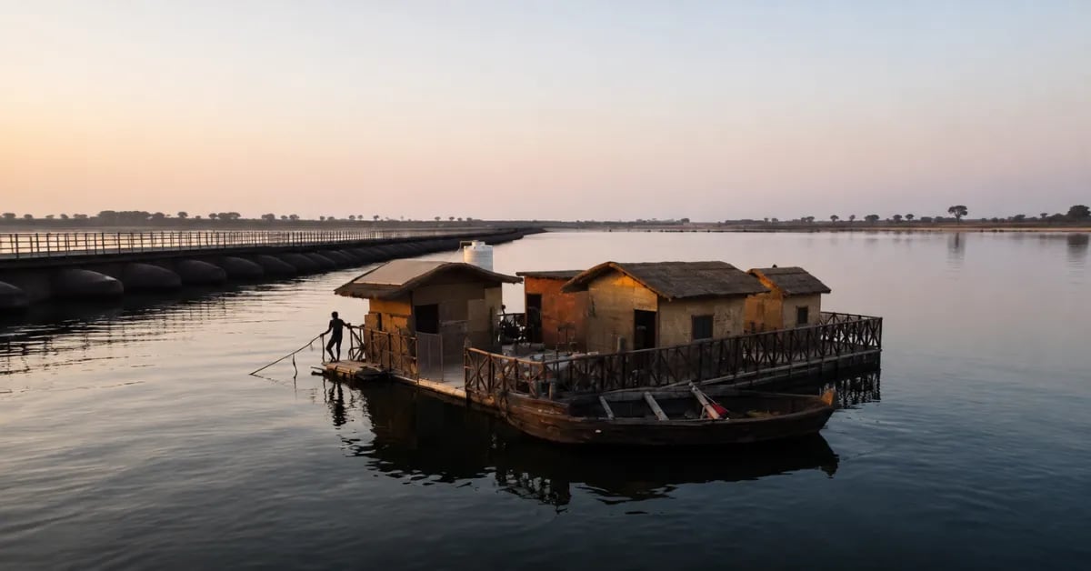 Engineer Builds Floating Home in Bihar for $7,200 - Image 5