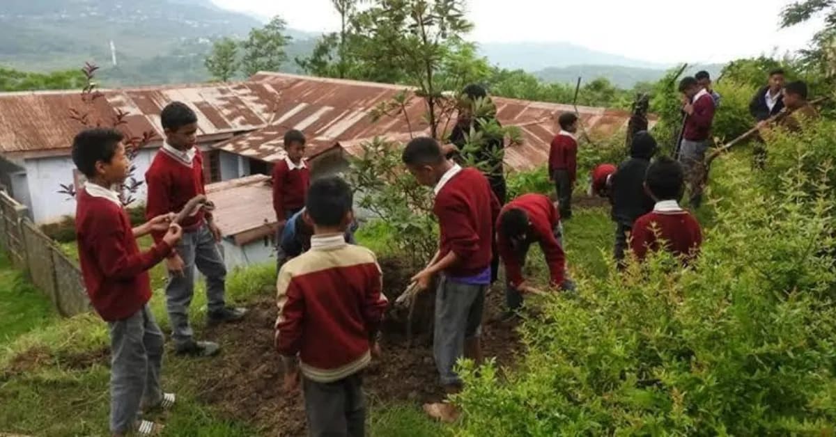 Students in Nagaland Grow Their Own School Lunch - Image 4