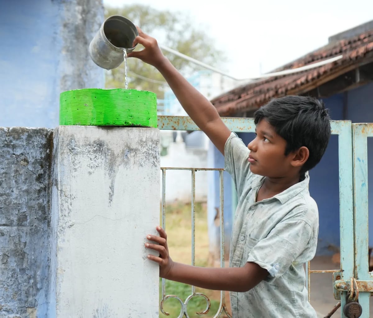One Man's $0.35 Bowl Now Hydrates 1,000s of Birds in India - Image 5