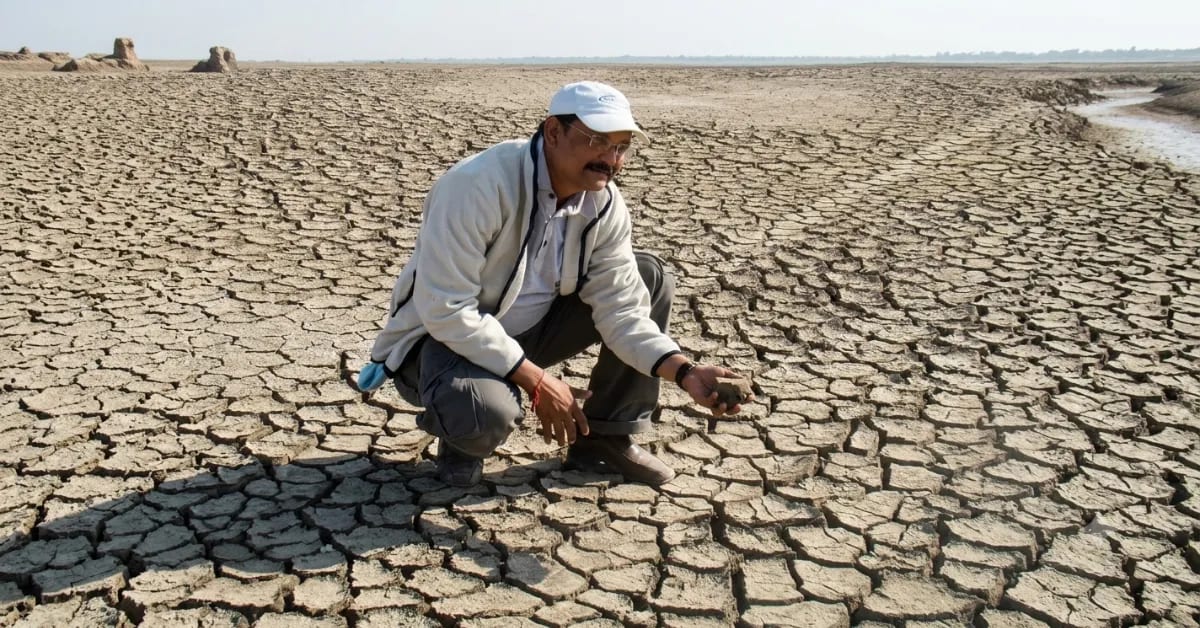 Gujarat Farmers Bank Rainwater Underground for Dry Season - Image 3