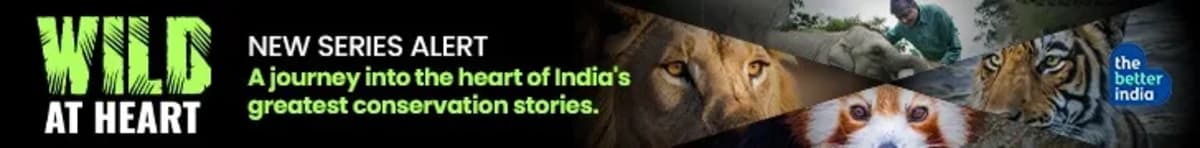 Woman Saves 50,000 Animals After Losing Her Own Pet - Image 4