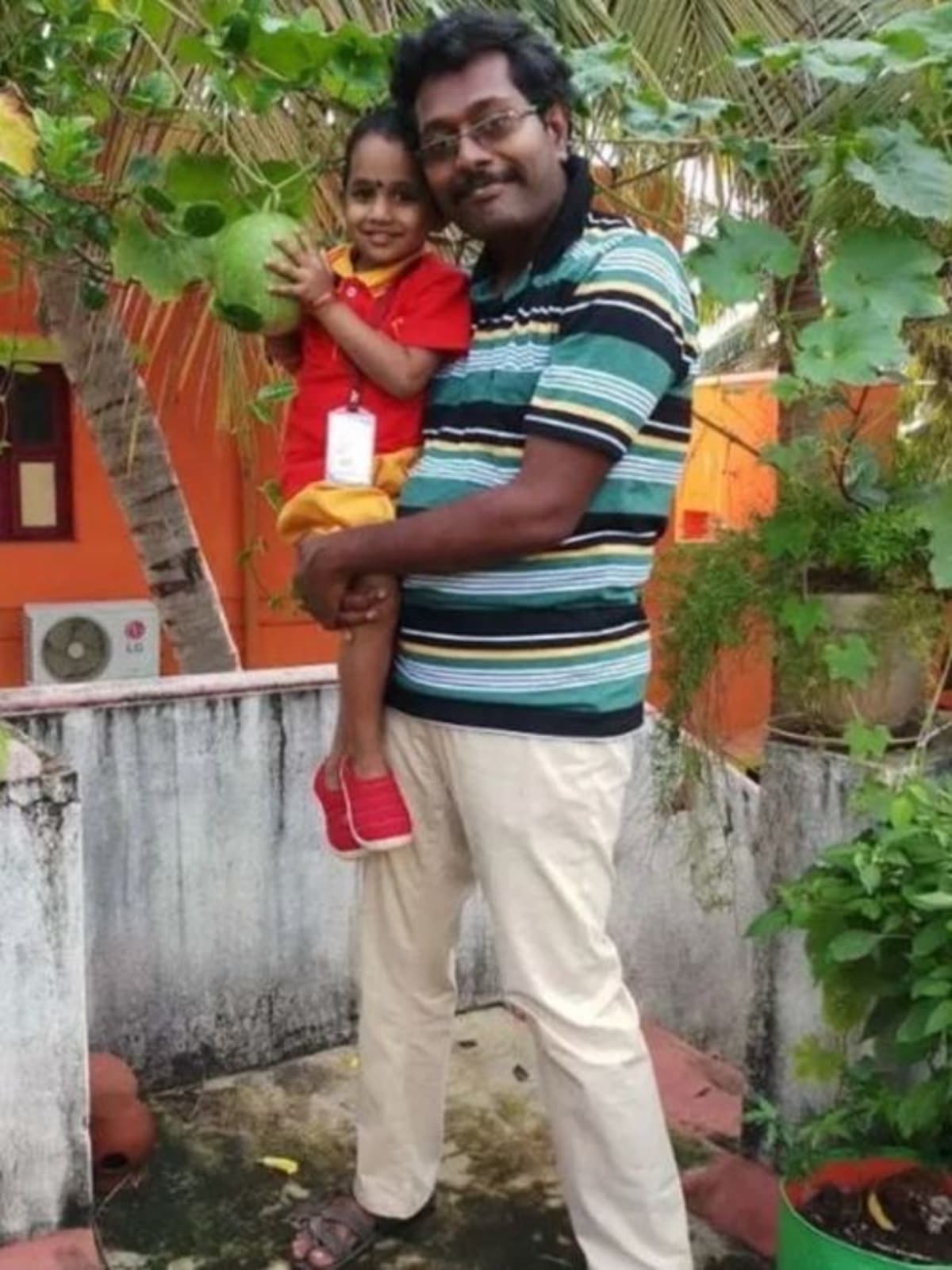 Vegetables growing in repurposed refrigerators on an urban terrace garden in India