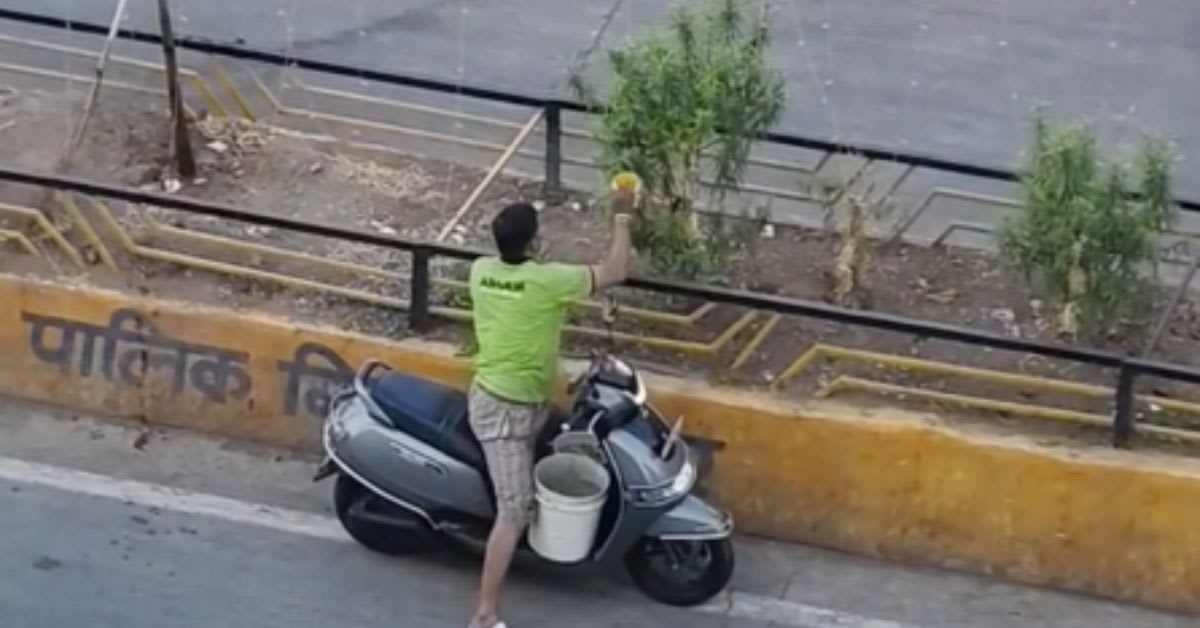 Man Waters Road Divider Plants Every Morning on Commute