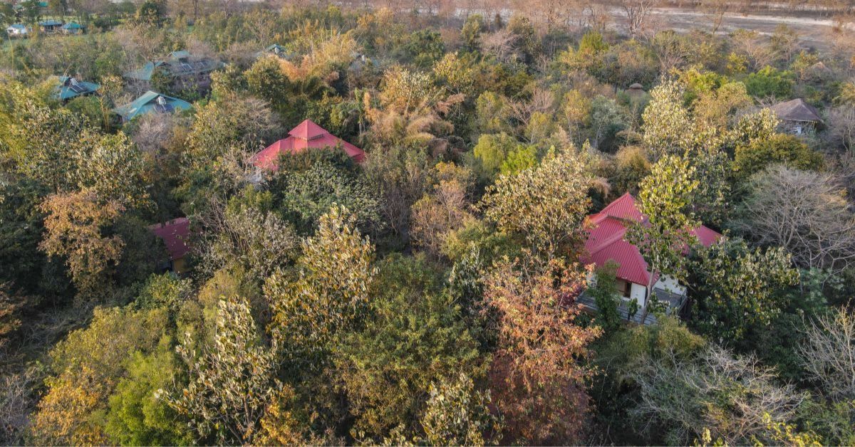 Father and Son Turn Barren Land Into Thriving Forest Retreat