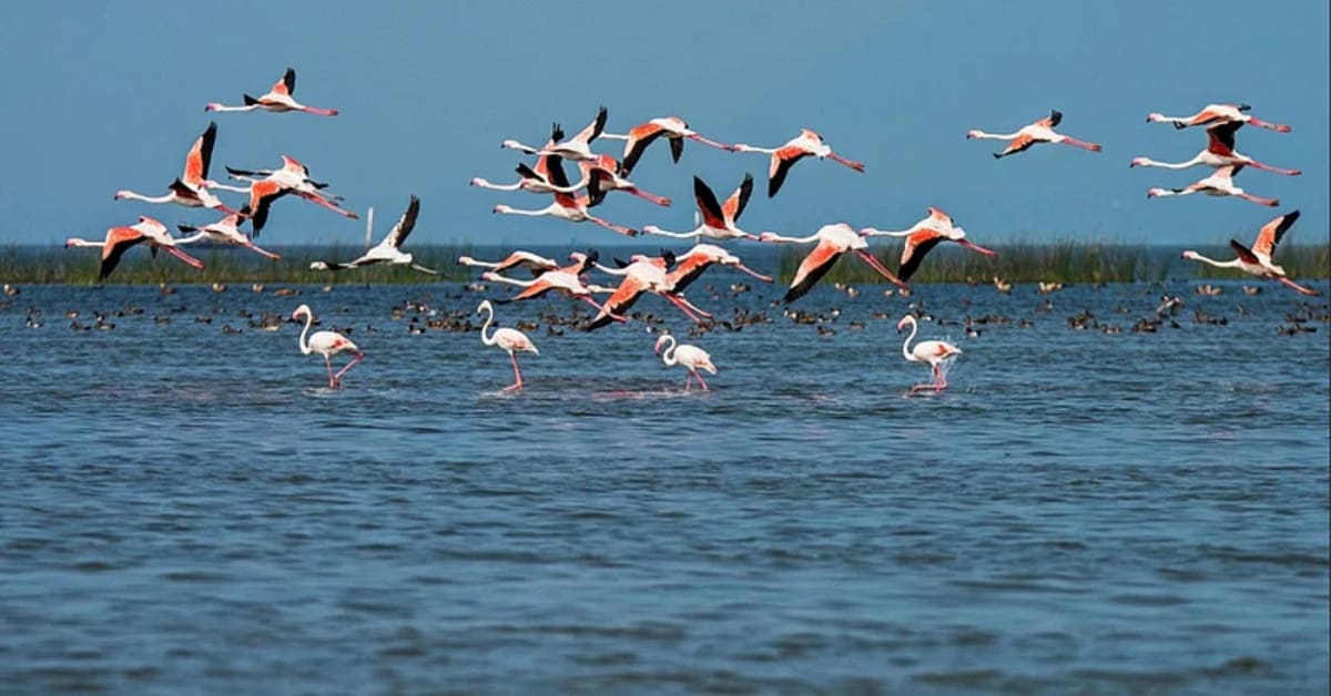 India's Communities Turn Ice, Forests Into Water Solutions