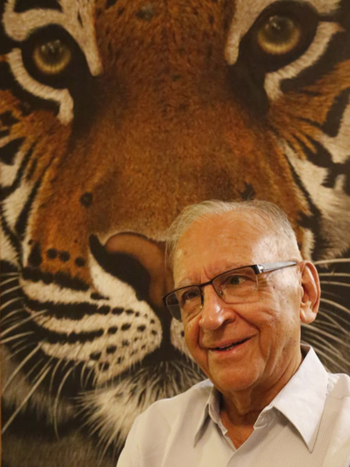 India's Cheetah Count Crosses 50 After 70-Year Extinction