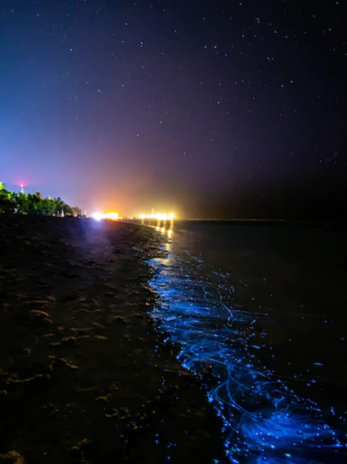 Ocean waves glowing electric blue at night from bioluminescent organisms along dark shoreline