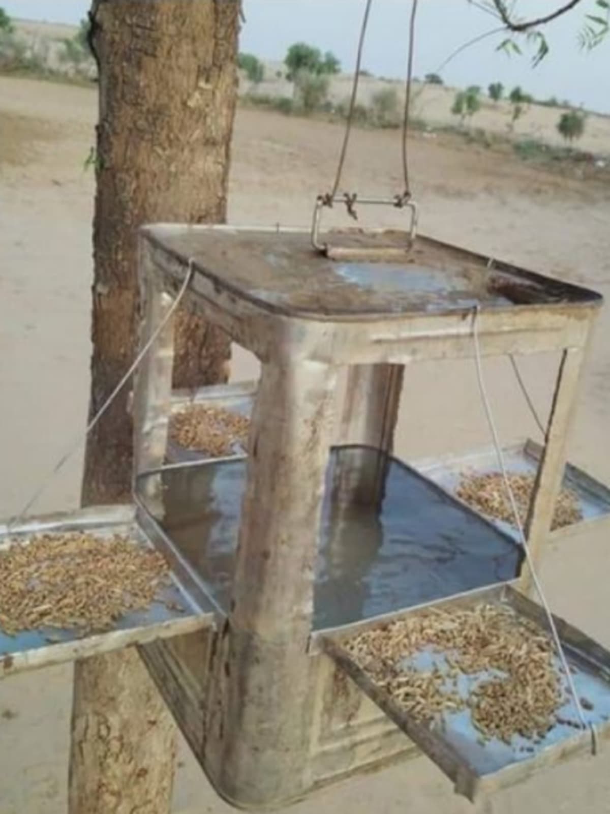 Recycled tin oil can converted into birdbath filled with water under tree shade