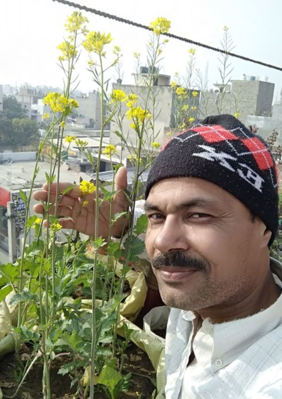 Rooftop garden in Delhi with vegetables growing in repurposed containers and waste materials
