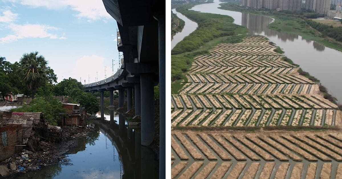 600 Villagers Clear 750kg of Plastic, Plant 20,000 Mangroves